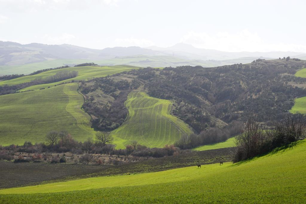 הוילה Castiglione dʼOrcia La Tana Del Bianconiglio מראה חיצוני תמונה